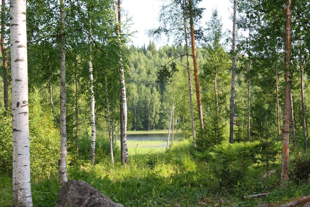 Vila Ruhmaslehto Siikava Exteriér fotografie