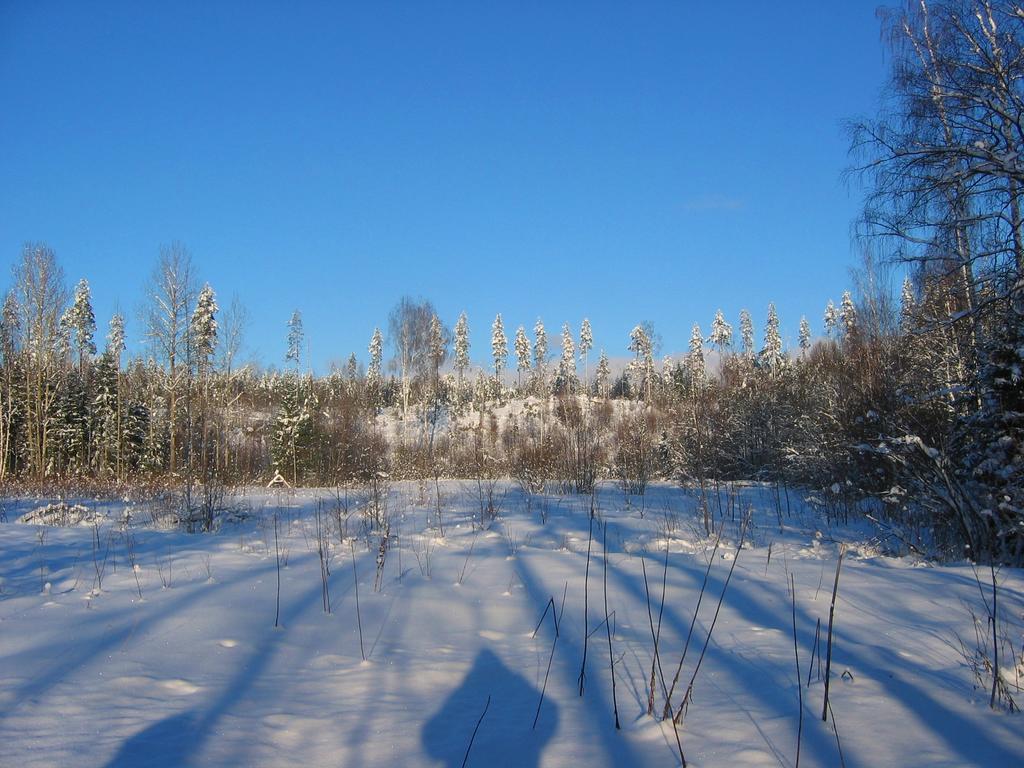 Vila Ruhmaslehto Siikava Exteriér fotografie