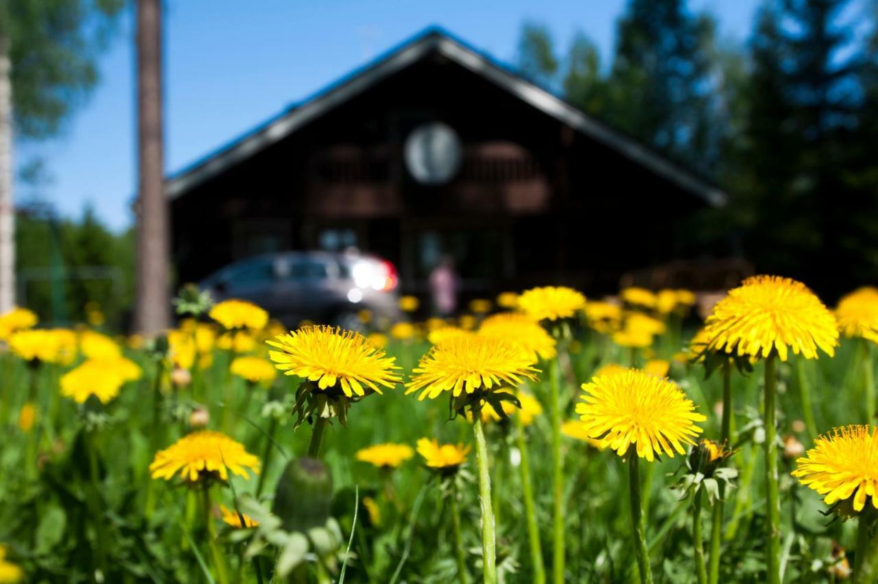 Vila Ruhmaslehto Siikava Exteriér fotografie